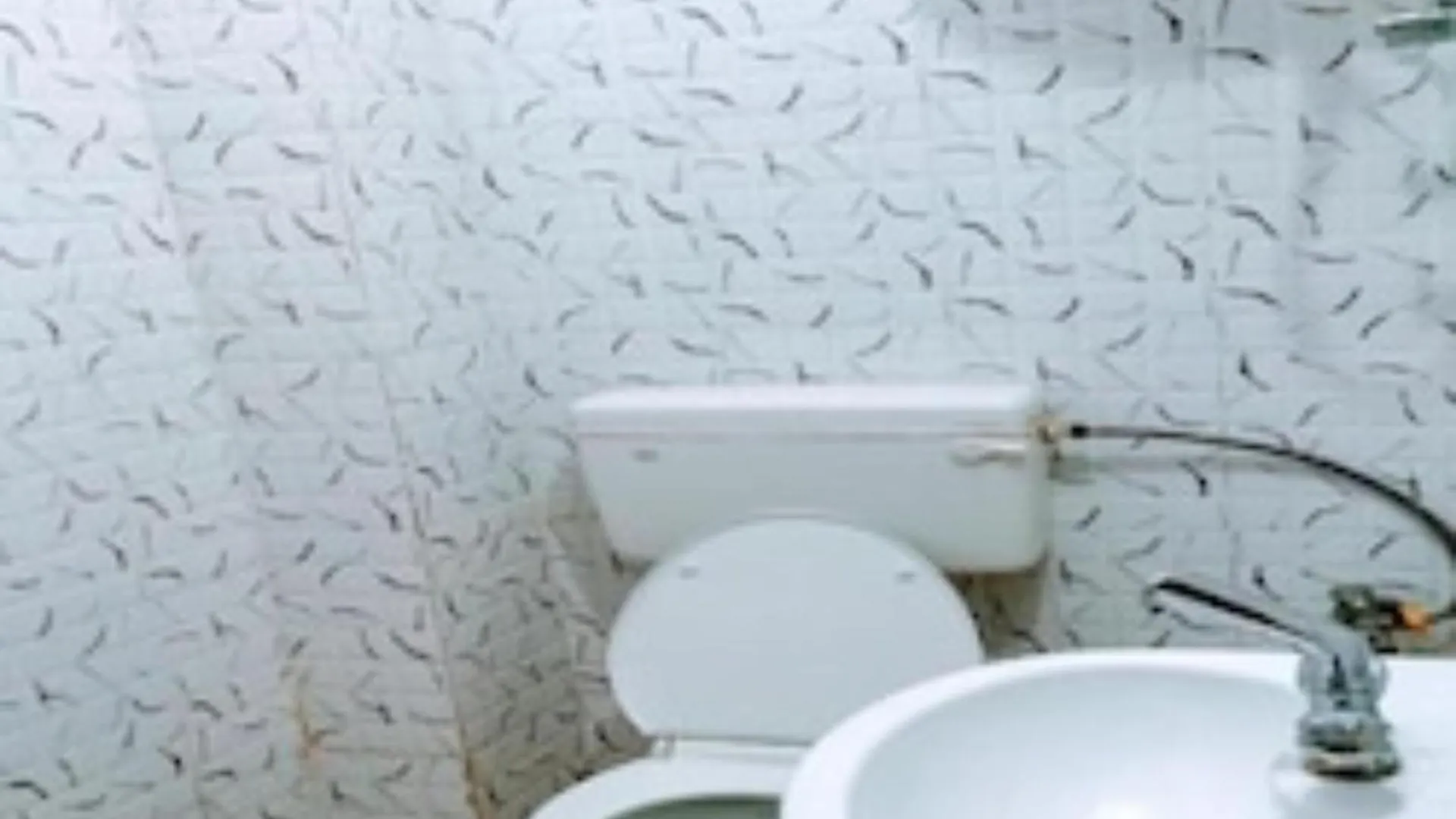 **  Hotel Shivaayy Banaras Near Kashi Vishwanath Temple Road Váránasí Indie